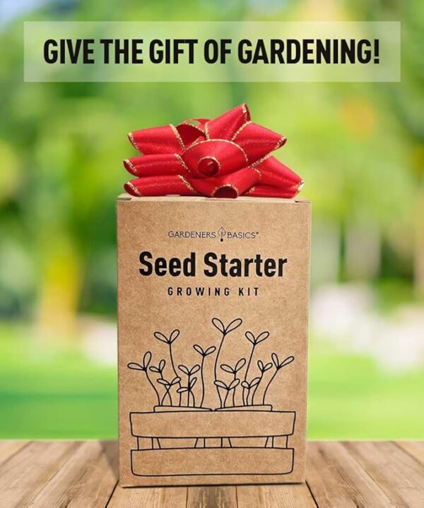 Beginner Indoor Garden Lettuce Kit - Includes Romaine, Buttercrunch Lettuces, Spinach, Arugula, and Kale Heirloom Seeds, Pots, Soils and Plant Markers - Complete Indoor Vegetable Garden Starter Kit - Image 3
