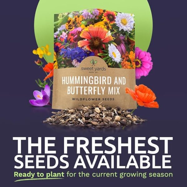 Wildflower Seeds Butterfly and Humming Bird Mix - Large 1 Ounce Packet 7,500+ Seeds - 23 Open Pollinated Annual and Perennial Species - Image 2