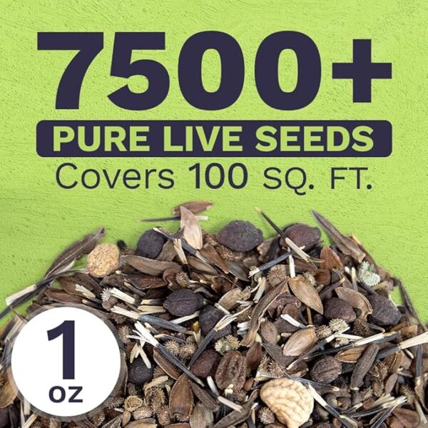Wildflower Seeds Butterfly and Humming Bird Mix - Large 1 Ounce Packet 7,500+ Seeds - 23 Open Pollinated Annual and Perennial Species - Image 3