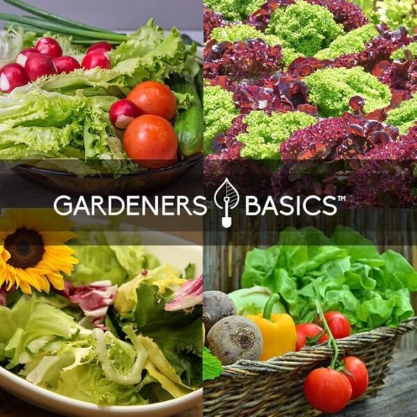 Beginner Indoor Garden Lettuce Kit - Includes Romaine, Buttercrunch Lettuces, Spinach, Arugula, and Kale Heirloom Seeds, Pots, Soils and Plant Markers - Complete Indoor Vegetable Garden Starter Kit - Image 4