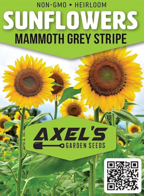 Mammoth Sunflower Seeds for Planting - Grow Giant Sun Flowers in Your Garden - 50 Non GMO Heirloom Seeds - Full Planting Instructions for Easy Grow - Great Gardening Gifts (1 Packet) - Image 2