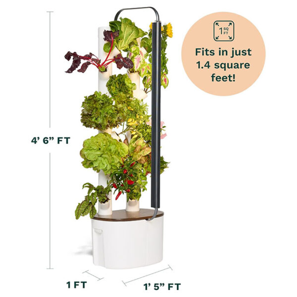 Gardyn Studio Hydroponics Growing System Kit & Vertical Indoor Garden Planter |  Smart Herb Garden | Includes 16 Non-GMO Indoor Plants, Herbs, Vegetables &  LED Grow Light for Your Home Gardening System - Image 6