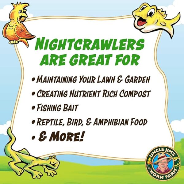 Uncle Jim's Worm Farm 100 Count Super Red European Nightcrawlers for Composting and Garden Soil Aeration | Large Nightcrawlers Improve Soil Structure and Quality for Healthier Gardens - Image 3