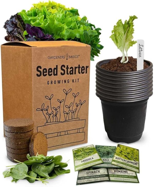 Beginner Indoor Garden Lettuce Kit - Includes Romaine, Buttercrunch Lettuces, Spinach, Arugula, and Kale Heirloom Seeds, Pots, Soils and Plant Markers - Complete Indoor Vegetable Garden Starter Kit