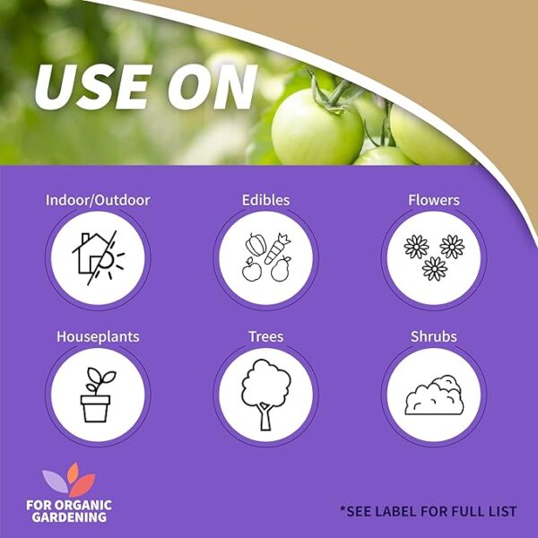 Bonide Captain Jack's Neem Oil, 32 oz Ready-to-Use Spray, Multi-Purpose Fungicide, Insecticide and Miticide for Organic Gardening - Image 4