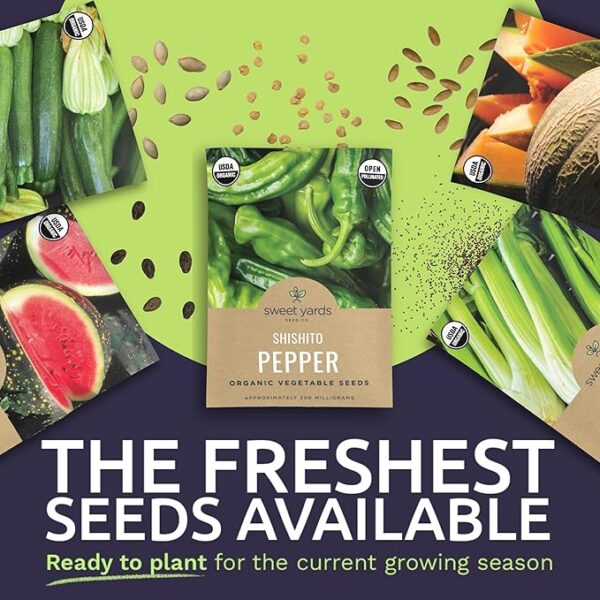 Organic Summer Seeds Variety Pack - 12 Individual Packs - 2025 Season - Basil, Tomatoes, Cucumber, Watermelon and More! for Indoor & Outdoor Planting (Non-GMO, Certified Organic) - Image 3