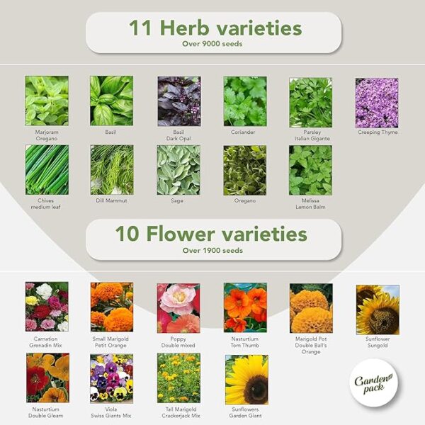 Garden Pack Seeds Pouch - 50 Varieties of Herb, Flower & Vegetable Seeds for Planting - 25,000 Non GMO Heirloom Seeds - Garden Seeds for Vegetable Garden - Image 4