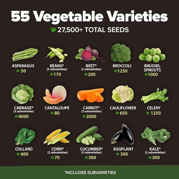 HOME GROWN 55 Vegetable Seeds Pack – 28,000+ 𝗨𝗦𝗔 Heirloom 𝗡𝗢𝗡-𝗚𝗠𝗢 Seeds for Planting – Spring, Fall, Winter Garden Kit – Survival Seed Vault for Preppers & Gardeners – Gift for Men & Women - Image 3