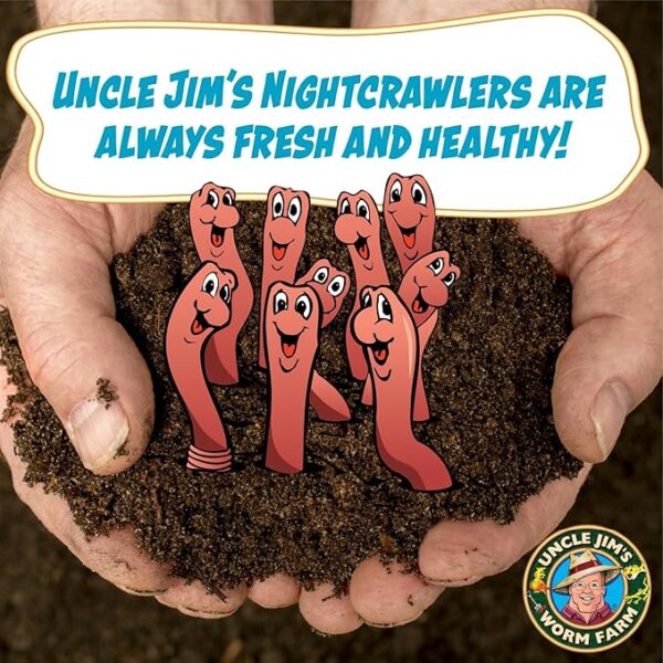 Uncle Jim's Worm Farm 100 Count Super Red European Nightcrawlers for Composting and Garden Soil Aeration | Large Nightcrawlers Improve Soil Structure and Quality for Healthier Gardens - Image 4