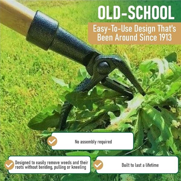 Grampa’s Weeder Stand Up Weed Remover - Image 3