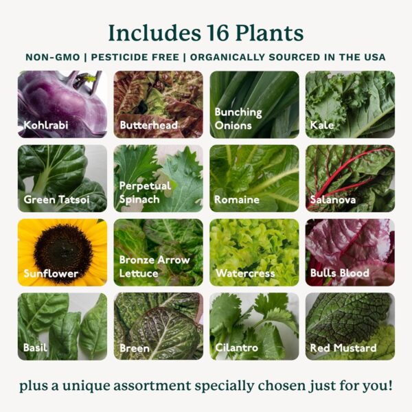 Gardyn Studio Hydroponics Growing System Kit & Vertical Indoor Garden Planter |  Smart Herb Garden | Includes 16 Non-GMO Indoor Plants, Herbs, Vegetables &  LED Grow Light for Your Home Gardening System - Image 7