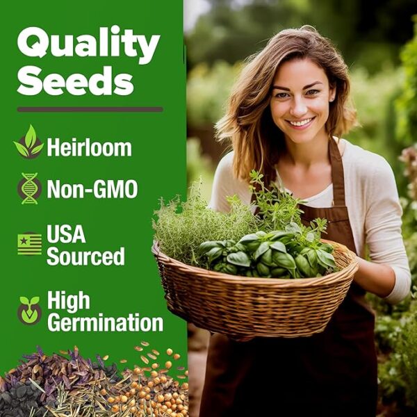 HOME GROWN 15 Culinary Herb Seeds 4,500+ Heirloom 𝗡𝗢𝗡-𝗚𝗠𝗢, 𝗨𝗦𝗔-𝗦𝗢𝗨𝗥𝗖𝗘𝗗 High Germination Rate, for Planting Indoor Hydroponic Outdoor, Gardening Gifts for Women Men, Mothers Day Gifts - Image 3