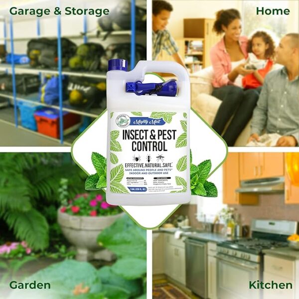 Mighty Mint Gallon (128 oz) Insect and Pest Repellent Peppermint Oil - Natural Spray for Spiders, Ants, and More - Image 2