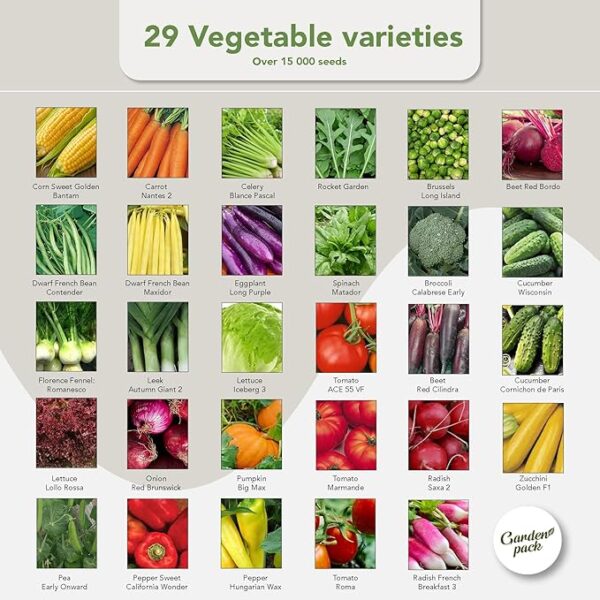Garden Pack Seeds Pouch - 50 Varieties of Herb, Flower & Vegetable Seeds for Planting - 25,000 Non GMO Heirloom Seeds - Garden Seeds for Vegetable Garden - Image 3