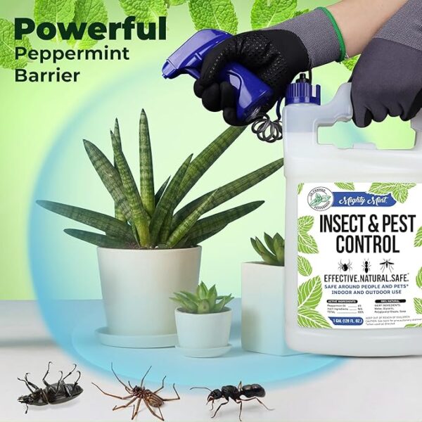 Mighty Mint Gallon (128 oz) Insect and Pest Repellent Peppermint Oil - Natural Spray for Spiders, Ants, and More - Image 4