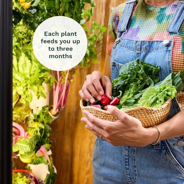 Gardyn Studio Hydroponics Growing System Kit & Vertical Indoor Garden Planter |  Smart Herb Garden | Includes 16 Non-GMO Indoor Plants, Herbs, Vegetables &  LED Grow Light for Your Home Gardening System - Image 5