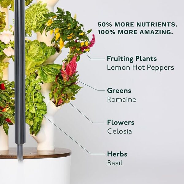 Gardyn Studio Hydroponics Growing System Kit & Vertical Indoor Garden Planter |  Smart Herb Garden | Includes 16 Non-GMO Indoor Plants, Herbs, Vegetables &  LED Grow Light for Your Home Gardening System - Image 3