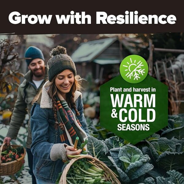 HOME GROWN 55 Vegetable Seeds Pack – 28,000+ 𝗨𝗦𝗔 Heirloom 𝗡𝗢𝗡-𝗚𝗠𝗢 Seeds for Planting – Spring, Fall, Winter Garden Kit – Survival Seed Vault for Preppers & Gardeners – Gift for Men & Women - Image 5