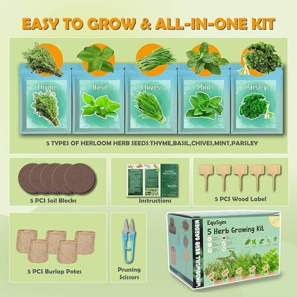 5 Herb Window Garden Kit Indoor - Herb Seeds for Indoor & Outdoor Planting, Gardening Gift for Kids, Moms, Women, Beginners - Complete Starter Kit with Pots, Soil, Basil, Mint, Thyme, Parsley - Image 2