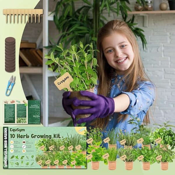 5 Herb Window Garden Kit Indoor - Herb Seeds for Indoor & Outdoor Planting, Gardening Gift for Kids, Moms, Women, Beginners - Complete Starter Kit with Pots, Soil, Basil, Mint, Thyme, Parsley - Image 3